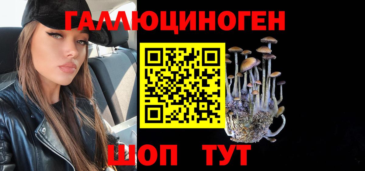 Галлюциногенные грибы GOLDEN TEACHER Ртищево